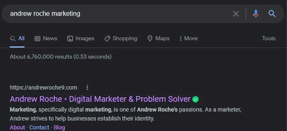 Andrew Roche Marketing Google Search