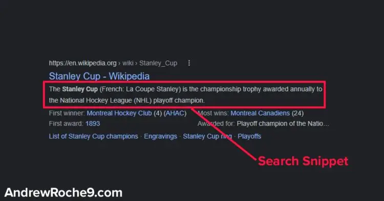 Meta Description Search Snippet