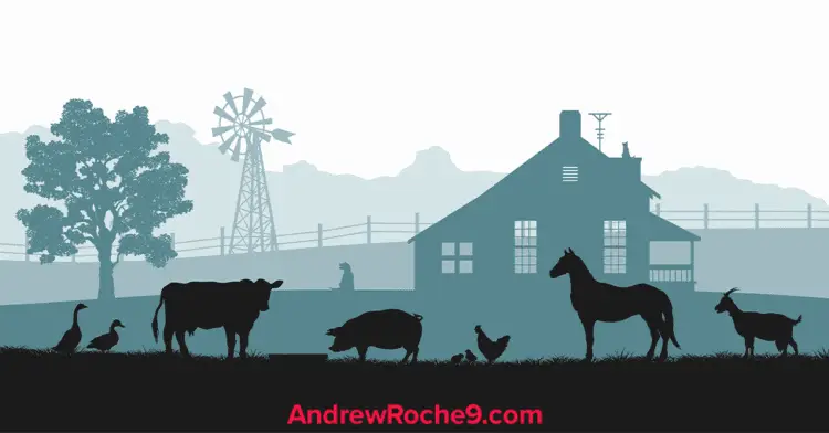 Black Hat SEO Link Farm
