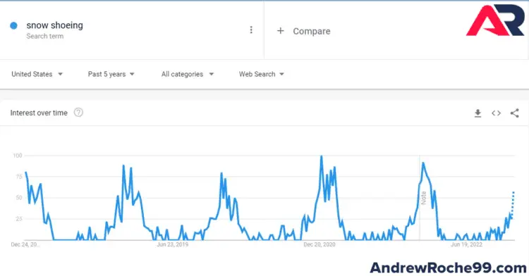 Google Trends Snowshoeing 5 Years Analysis