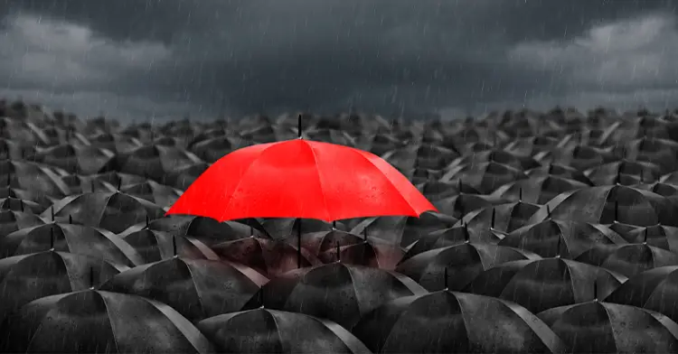 How to Build a Brand: Everything You Need to Know 3 How to Develop a Brand Differentiation