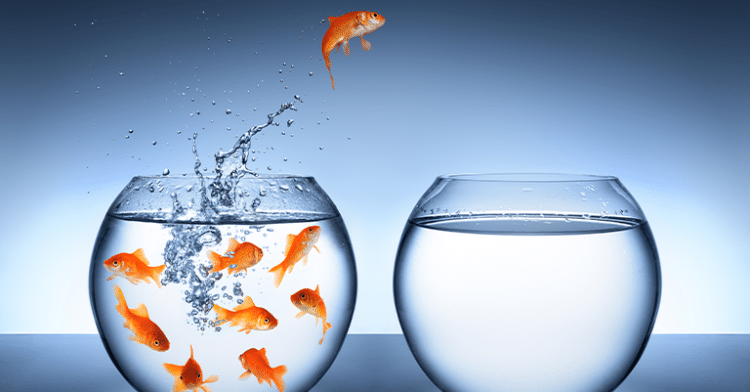 Product-Led SEO Strategy Challenges