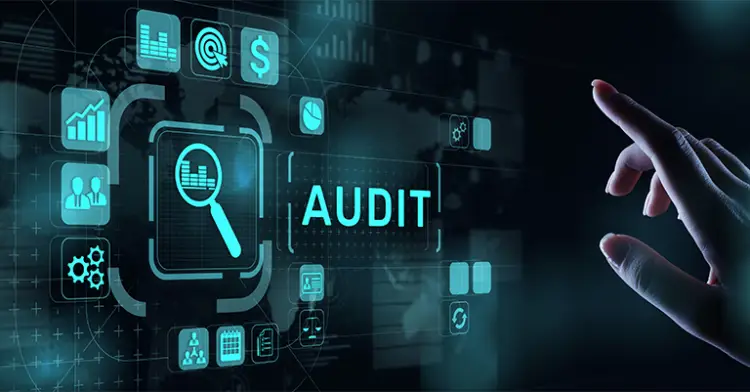 SEO Efforts Audit