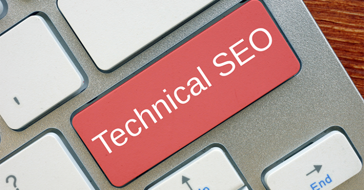 Search Engine Optimization Basics