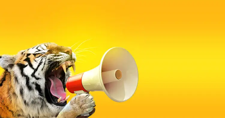 engaging content promotion