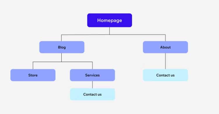 A simple website hierarchy diagram displays the "Homepage" at the top, branching into "Blog" and "About" sections. Under "Blog" are "Store" and "Services," with both "Services" and "About" leading to "Contact us" pages. The image represents a clear site structure important for SEO and user navigation.