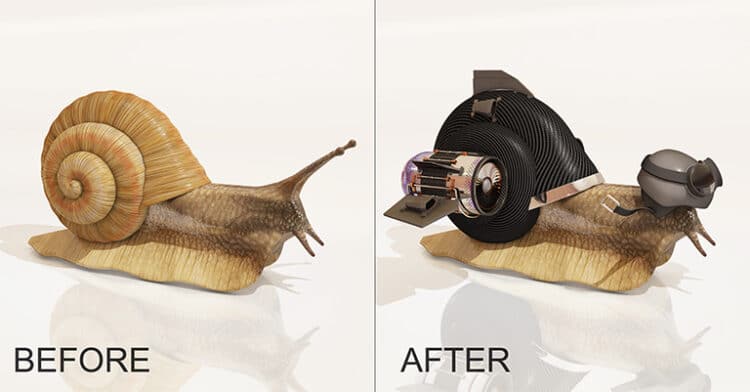 Illustration showing a side-by-side comparison of a snail before and after a high-tech upgrade. The “before” snail is natural and unaltered; the “after” snail is enhanced with futuristic mechanical parts and a helmet, suggesting increased speed and capability.