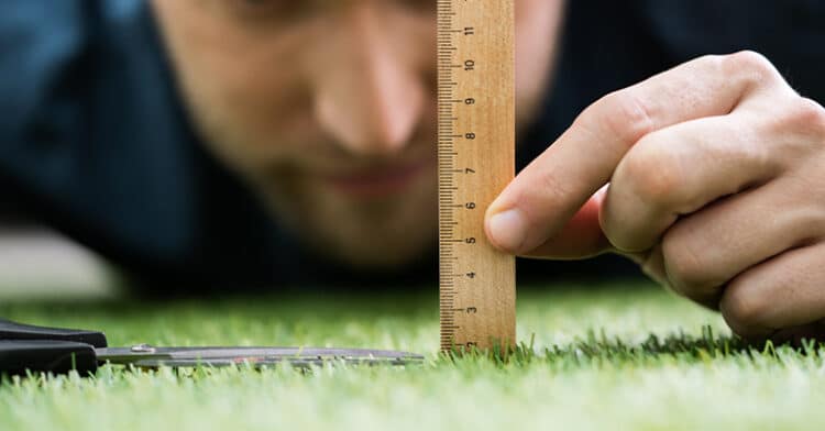 A person holding a ruler to measure the height of grass precisely, focusing on attention to detail.
