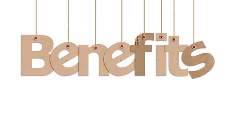 Private Blog Networks: Black Hat SEO at Its Finest 8